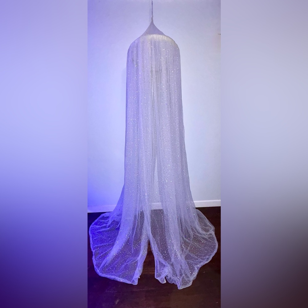 Pottery Barn Kids Iridescent Dot Canopy